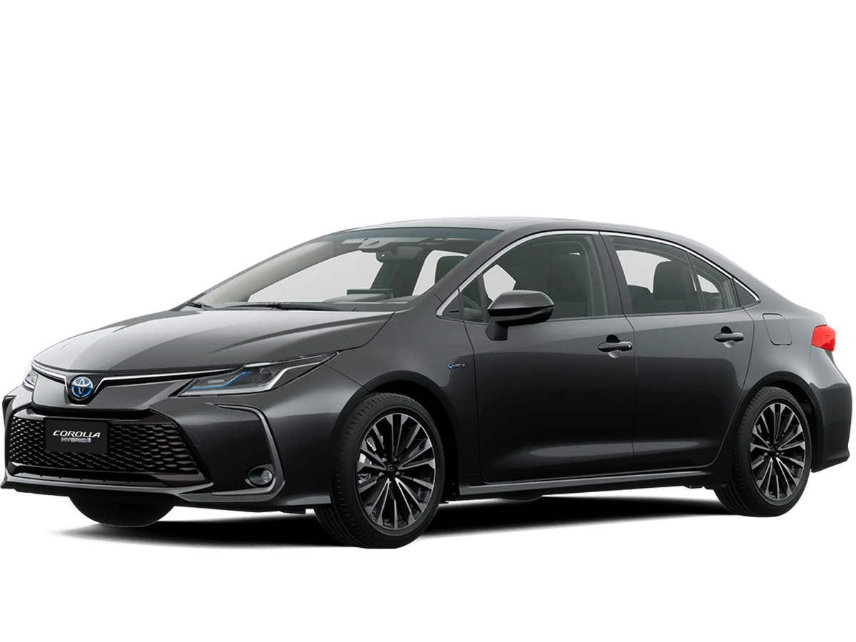 TEC Automotores Showroom 3